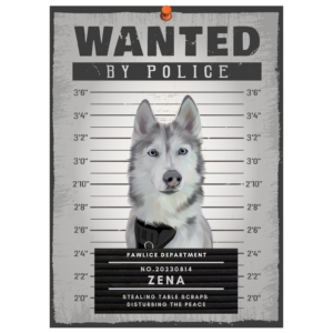 WANTED - Mugshot